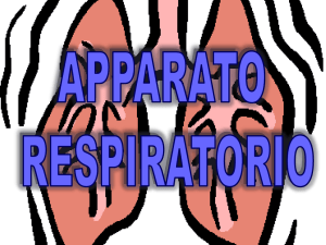 1._Generalita_apparato_respiratorio