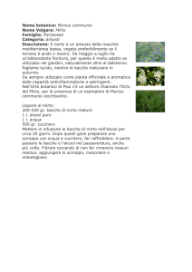 Nome botanico: Myrtus communis