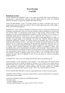 Pera Picciola (varietà) Relazione tecnica CENNI STORICI ED