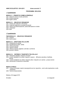 ANNO SCOLASTICO 2014-2015 classe seconda D PROGRAMMA