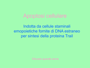 Apoptosi cellulare - Digilander