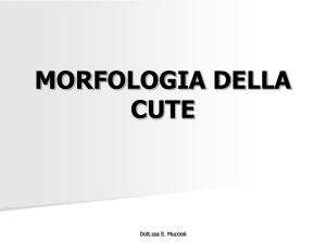 morfologia della cute