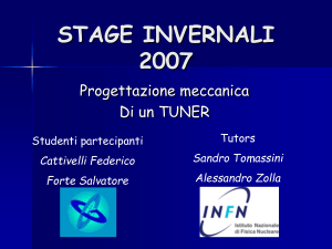 STAGE INVERNALI 2007 - INFN-LNF