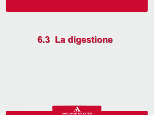 6.3 La digestione - Mondadori Education