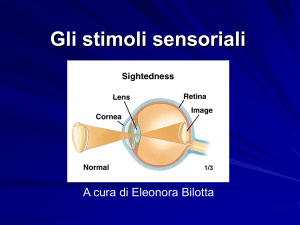 Gli stimoli sensoriali2
