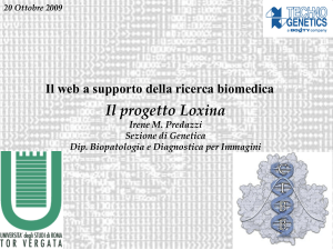 Il progetto Loxina - Irene Predazzi PPT