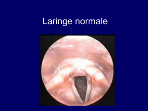 Nodulo e polipo laringei