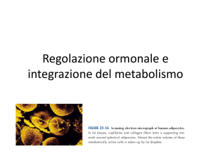 Regolazione ormonale e integrazione del metabolismo