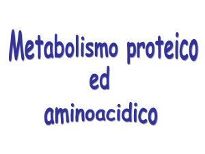 Metabolismo proteico