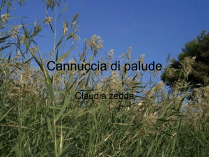 Claudia - Istituto Comprensivo Statale Quartucciu