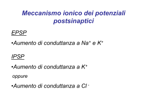 Diapositiva 1 - AppuntiMedicina