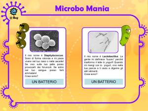 Microbo-Mania - e-Bug