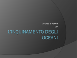 L`inquinamento degli Oceani - Blog-ER