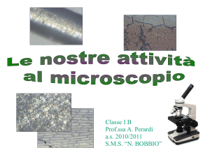 1B_microscopio
