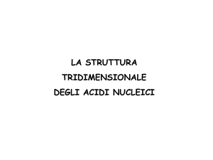 Proprietà conformazionali di acidi nucleici File