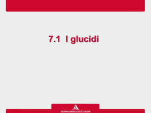 7.1 I glucidi - Mondadori Education