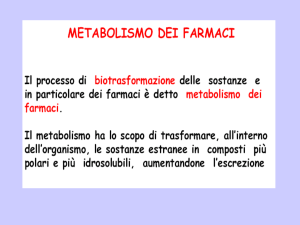 6-metabolismo1 File