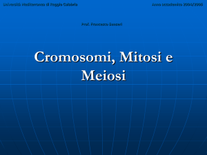 Cromosomi, Mitosi e Meiosi