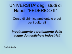 UNIVERSITA` degli studi di Napoli “FEDERICO II”