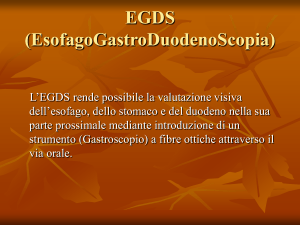 EGDS (EsofagoGastroDuodenoScopia)