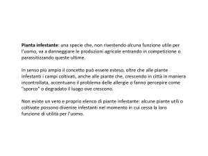 Diapositiva 1 - Università degli Studi di Roma "Tor Vergata"