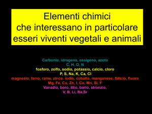Elementi chimici che interessano in particolare esseri viventi