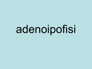 adenoipofisi