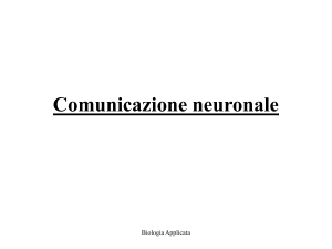 Comunicazione_neuronale - Università degli Studi di Roma "Tor