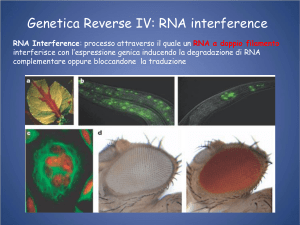 Genetica Reverse IV: RNA interference - e