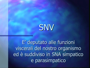 SNV - Axada Catania