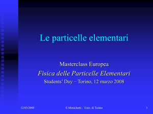 Le particelle elementari - Masterclass Europea 2008