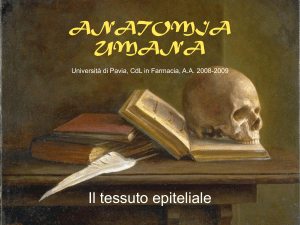 Lezione 2 - Università di Pavia