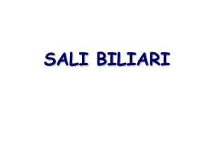 16_sali_biliari,_ormoni