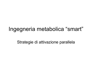 Ingegneria metabolica “smart” - Web server per gli utenti dell