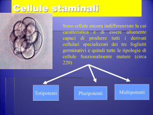 Cellule staminali - Università degli Studi Mediterranea