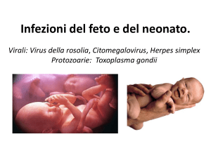 Infezioni del feto e del neonato. - e