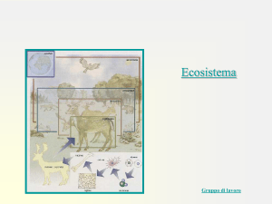 Ecosistema - Atuttascuola