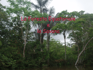 Foresta Fluviale e Savana
