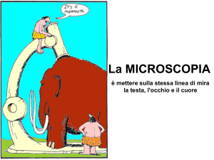 microscopia - I blog di Unica