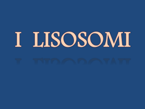 i lisosomi
