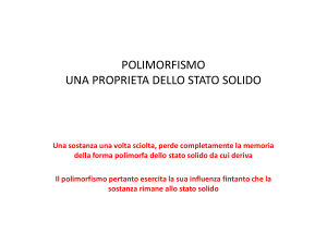 POLIMORFISMO 1 File - e