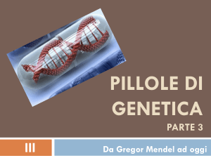 Pillole di genetica - parte 3