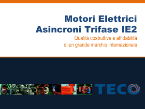 Motori Elettrici Asincroni Trifase IE2