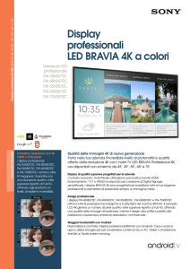Display professionali LED BRAVIA 4K a colori