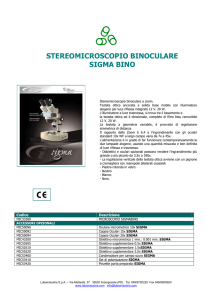 stereomicroscopio binoculare sigma bino