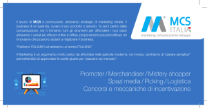 Promoter / Merchandiser / Mistery shopper Spazi media