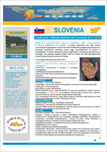 slovenia - woc - multimedia productions