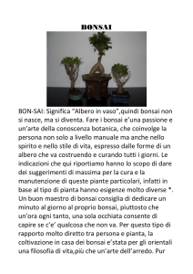 Bonsai - Progetto CHOPIN