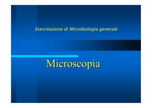 esercitazione microscopia
