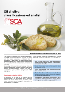 Oli di oliva: classificazione ed analisi